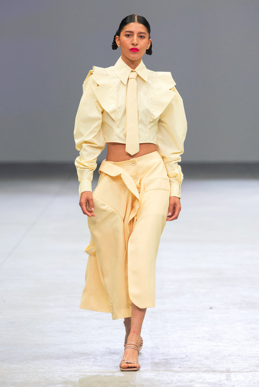 Falda-Saco Evolutiva